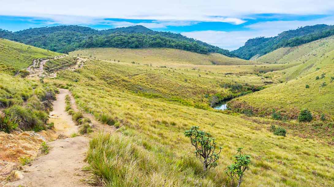 horton plains 1